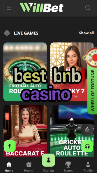 Best BNB Casino - Top Binance Coin Casino-www.bdqngd.com